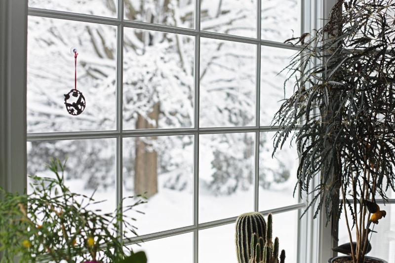How Can I Lower My Heating Bill This Winter? A winter blizzard rages outside the back yard bay window where this small, serene potted plant garden grows and blooms oblivious to the season. A similar is available in vertical/portrait orientation.