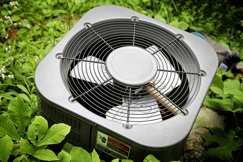 AC unit surrounded by some plants