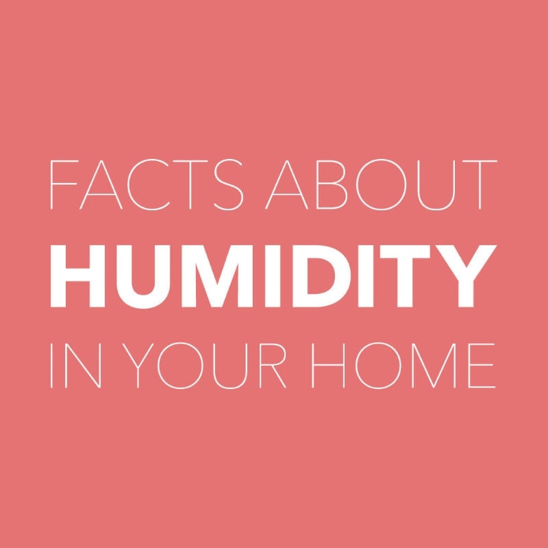 Facts About Humidity