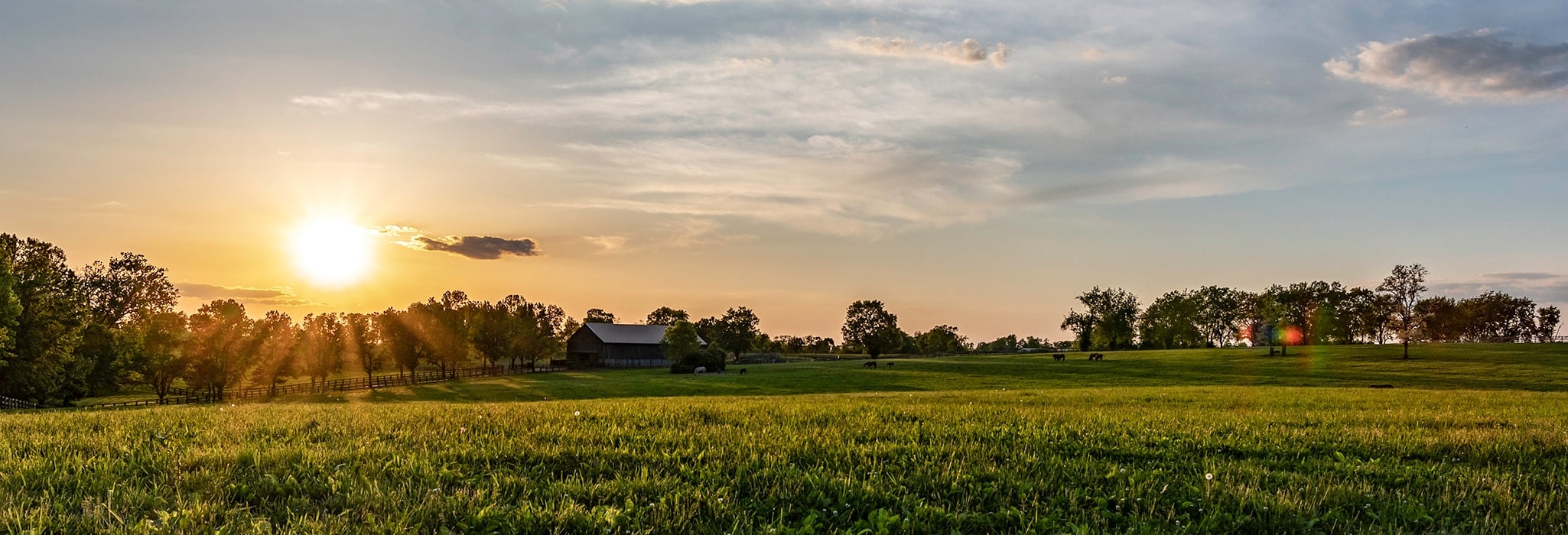 rural ohio farm